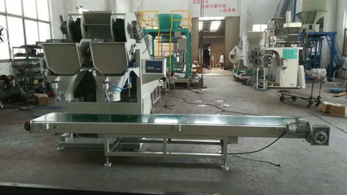 漯河土豆包裝機(jī) 瑞利技術(shù)開(kāi)發(fā)的創(chuàng)新與報(bào)價(jià)解析